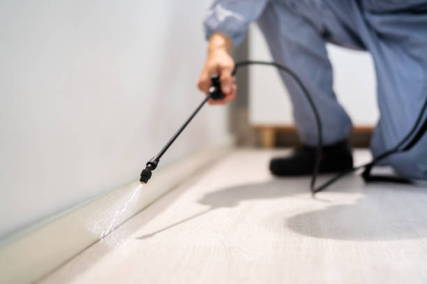 Certified termite inspector examining foundation in Leeds